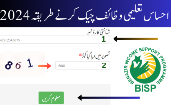 احساس تعلیمی وظائف چیک کرنے طریقہ