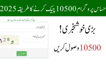 احساس پروگرام 10500 پیسے چیک کرنے کا طریقہ 2025