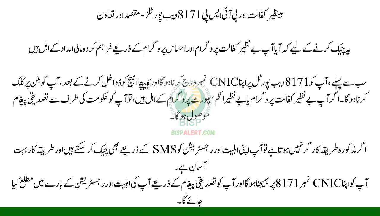 Benazir Kafaalat & BISP 8171 Web Portals – Purpose & Collaboration