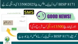 BISP 8171 Online check balance March 2025