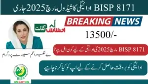 BISP 8171 payment schedule March 2025 Update For Eligible Beneficiaries