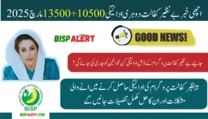 Good News Benazir Kafalat Double Payment 10500+13500 In March 2025 Know Full Details