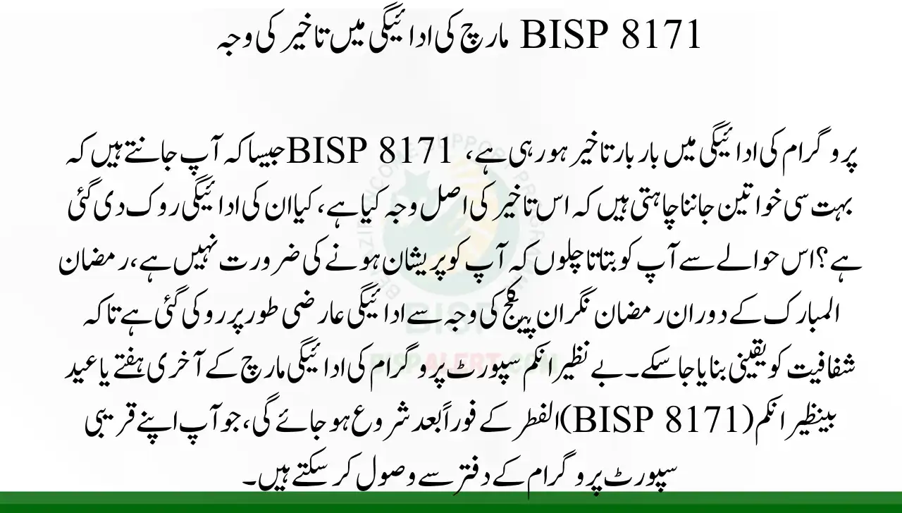Reason for Delay for the BISP 8171 March Payment