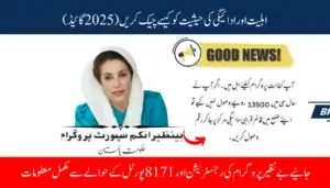 BISP 8171 Online Portal How to Check Eligibility & Payment Status (2025 Guide)