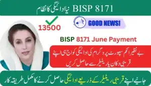 BISP 8171 New Payment System