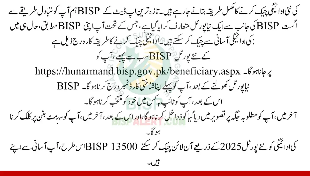 Alternative Methods to Check Online BISP 13500 Payment