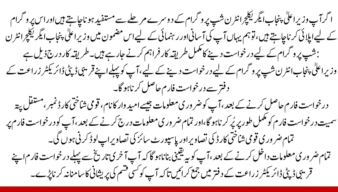 How to Apply for Punjab Agriculture Internship Program Phase 2 2025